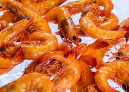 The-Fish-Market-at-Mandurah-Forum_800x610